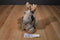 Second Nature Design Cuddly Quarry Moose 2003 Beanbag Plush