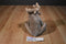 Second Nature Design Cuddly Quarry Moose 2003 Beanbag Plush