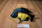 Wildlife Artists Wild Wonderful Crappie Fish 2002 Plush