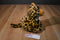 Wild Republic Leopard 2013 Beanbag Plush with Blue Eyes