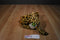 Wild Republic Leopard 2013 Beanbag Plush with Blue Eyes