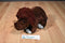 Kohl's Cares How Do Dinosaurs Say Goodnight Triceratops Plush