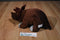Kohl's Cares How Do Dinosaurs Say Goodnight Triceratops Plush