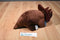 Kohl's Cares How Do Dinosaurs Say Goodnight Triceratops Plush