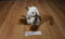 Imagination Nation Kids Beige and Brown Quiet Bunny 2009 Beanbag Plush
