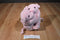 Fiesta Pals Hugging Oinking Pink Pigs Beanbag Plush