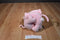 Fiesta Pals Hugging Oinking Pink Pigs Beanbag Plush