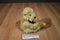Flowers Inc Balloons Tan Teddy Bear Beanbag Plush