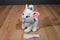 Disney Store Aristocats Marie With December Zircon Birthstone Plush