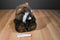 A&A  Brown Raccoon Plush