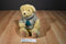 Hallmark Tan Beige Teddy Bear in a Brown Sweater With X-Mas Tree Plush