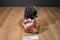 Dan Dee Pirate Brown Teddy Bear Plush
