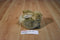A Brown and Beige Bunny Rabbit 2010 Plush