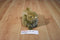 A Brown and Beige Bunny Rabbit 2010 Plush