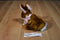 Animal Adventure Brown Bunny Rabbit 2006 Beanbag Plush