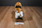 Ganz Webkinz Signature Beagle WKSS2001 Beanbag Plush (No Code)
