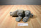 Wild Republic Grey White Rhino Calf 2015 Beanbag Plush
