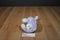 Wal-Mart Purple and White Bunny Rabbit Beanbag Plush