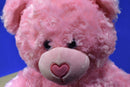 Build-a-Bear Pink Bear 2015  Plush