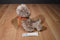 Ty Classic Java Brown Teddy Bear 2002 Beanbag Plush