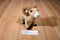 Wild Republic Big Horn Sheep Plush