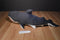 Rinco (Rhode Island Novelty) Great White Shark Plush