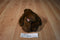 Ty Classic Baby PJ Brown Bear 1995 Beanbag Plush