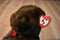 Ty Classic Baby PJ Brown Bear 1995 Beanbag Plush