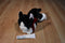 Russ Black and White Cat With Red Bow Beanbag Plush