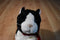 Russ Black and White Cat With Red Bow Beanbag Plush
