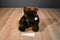 Fiesta Brown Teddy Bear Plush