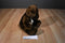 Fiesta Brown Teddy Bear Plush