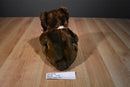 Fiesta Brown Teddy Bear Plush