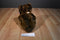 Fiesta Brown Teddy Bear Plush