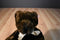 Fiesta Brown Teddy Bear Plush