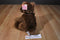 Gund Brown Puppy Dog Plush with Corduroy Feet, Ears and Bow