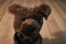 Gund Brown Puppy Dog Plush with Corduroy Feet, Ears and Bow