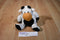 Ty Pluffies Grazer Black and White Holstein Cow 2002 Beanbag Plush