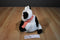 Animal Adventure White and Black Cow Beanbag Plush with a Red Checkered Bow