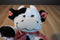 Animal Adventure White and Black Cow Beanbag Plush with a Red Checkered Bow