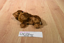 Ty Babies Seadog Brown Newfoundland 2001 Beanbag Plush