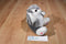 Dan Dee Soft Expressions Grey and White Bunny Rabbit Plush