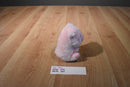 Aurora Pink Piglet 2020 Beanbag Plush
