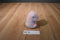 Aurora Pink Piglet 2020 Beanbag Plush