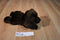 Aurora Chocolate Lab Puppy Dog 2018 Beanbag Plush