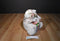 Hugfun Rose and Rikki White Bears 2008 Beanbag Plush for Mother's Day