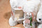 Hugfun Rose and Rikki White Bears 2008 Beanbag Plush for Mother's Day