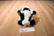 Aurora Holstein Black and White Cow Beanbag Plush