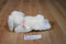 DGE Corp. White Bunny Rabbit Beanbag Plush with a Pink Bow