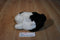 Chosun Black and White Bunny Rabbit Beanbag Plush